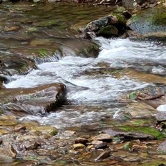 CONTENT (prod. Fo'Real Beatz)