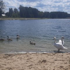 Ivan Liulenov - Теплих вечорів🥰
