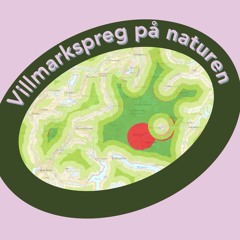 Villmarkspreg på naturen