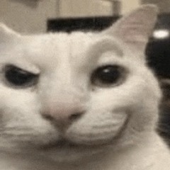 killyouall [p.rareluwthegoat]