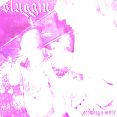 sluggin // scxmbxg x sevvr