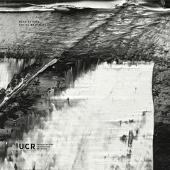 Social Brutality (Original Mix)