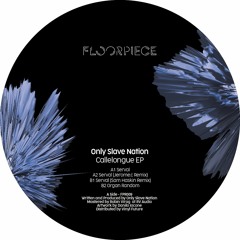 Only Slave Nation - Serval (Sam Haskin Remix) (Snippet)