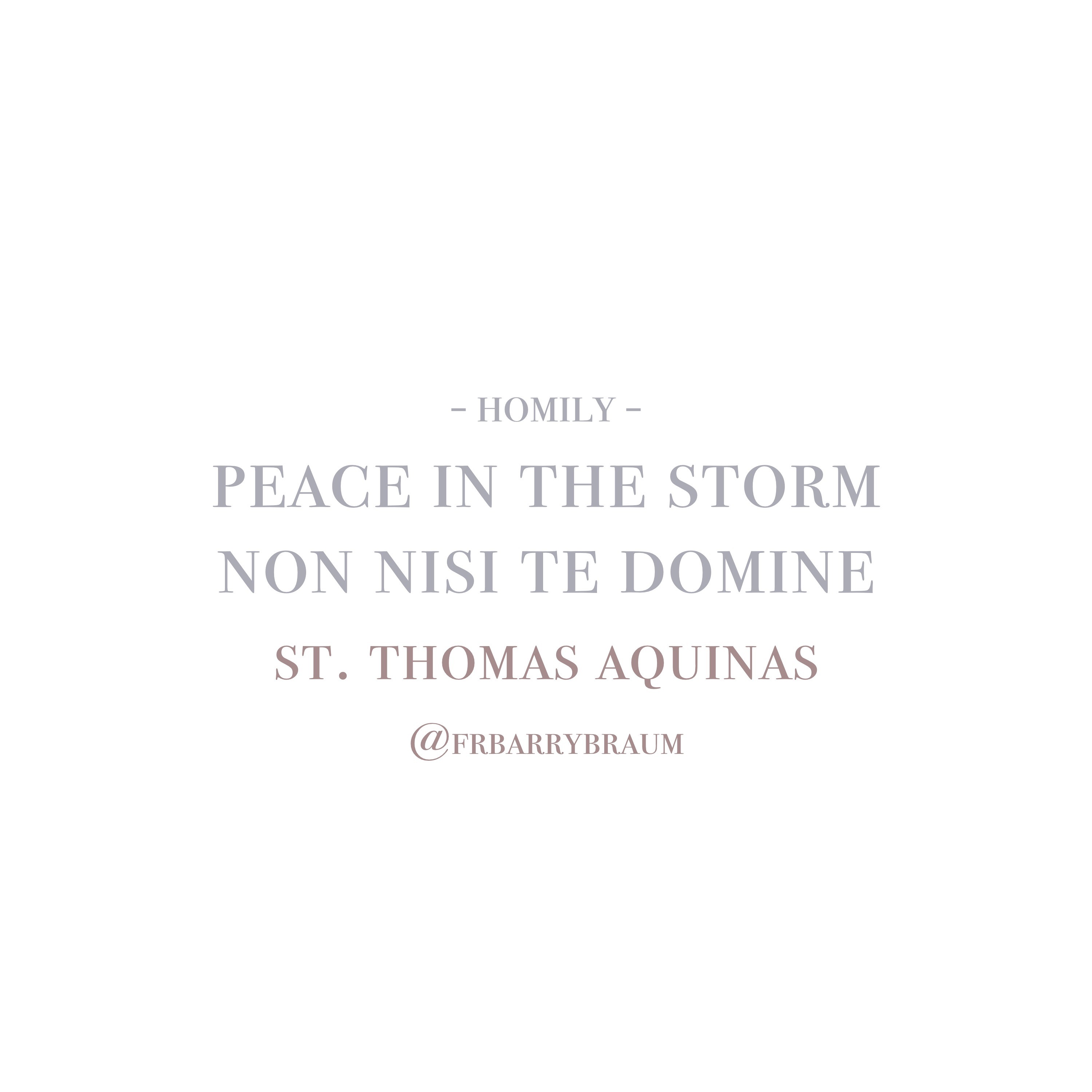 Fr. Barry Braum - Homilies and Conferences