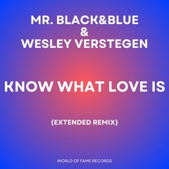 Mr Black&Blue& Wesley Verstegen -Know What Love Is (Extended Remix)