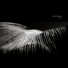 Nuphar Log