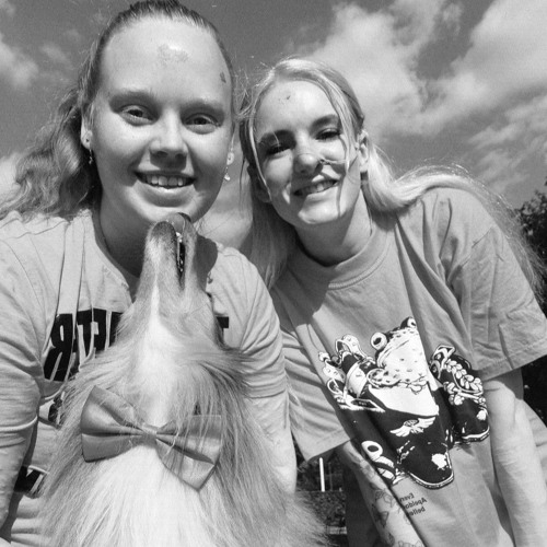 Fighter till the end (For 🌹)