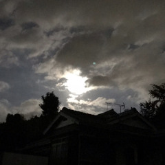 20230827_モノラルカラコルム○.m4a