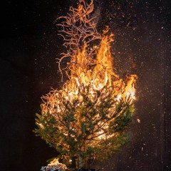 A LONELY CHRISTMAS CAROL