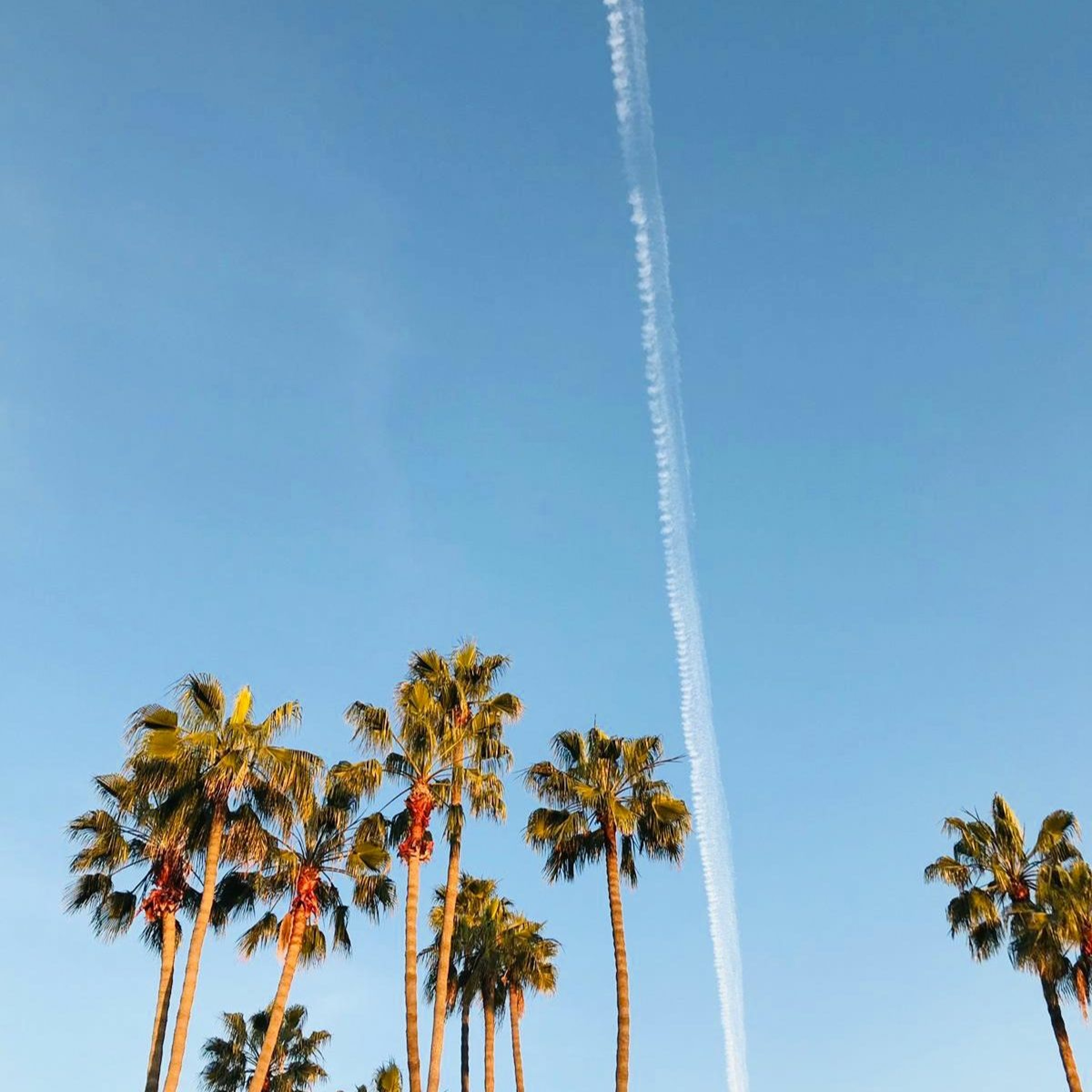 The world stops in 2020