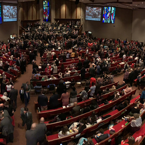 The Ark is Coming Up The Road Houston Meeting 2024