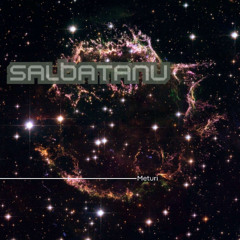Meturi - Salbatanu