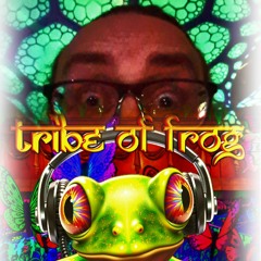 Tribe of Frog DJ Competition 2025 - DJ Intermac - Psy Techno