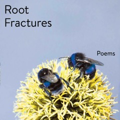 Root Fractures by Diana Khoi Nguyen