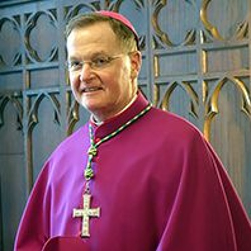 Bishop Edmund Whalen's Homily 14th Sunday in Ordinary Time