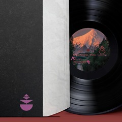 STMG997 B.1 Future Memories - Tremo (Tom Ries Snackday Remix) (snippets)