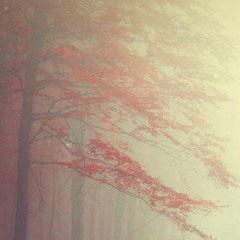 心碎调频