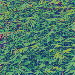 POP WIND