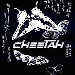 cheetah prod by ouija beats