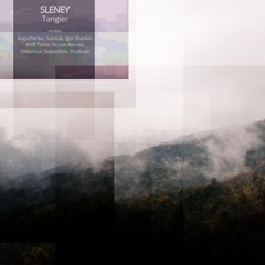 Sleney - Tangier (Oldschool Dubtechno Producer Remix) [Liberty Rhythm]