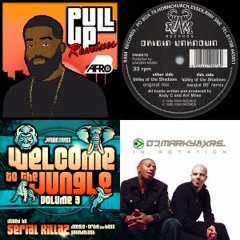 Chill jungle