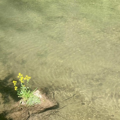 drifting along the river lethe