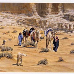 تهاليل الحياة بْوجه المطر