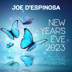 New Year's Eve 2023 . Faerie Rave . Upstate, New York . Joe D'Espinosa