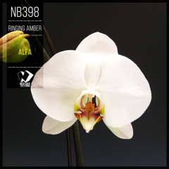 Ringing Amber - Alfa (Original Mix)