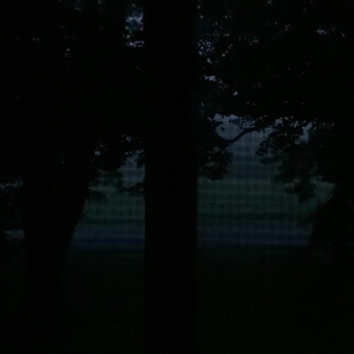 dusk