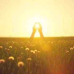 Run Through the Fields