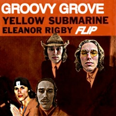 Eleanor Rigby (Groovy Grove Flip)