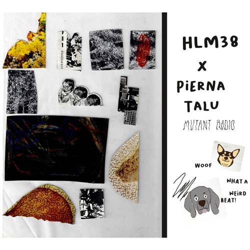 HLM38 & Pierna Talu [21.11.25]