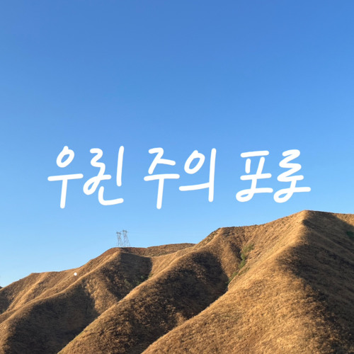 우린 주의 포로