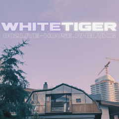 002 LIVE : GOLDEN HOUR HOUSE MUSIC & UK GARAGE