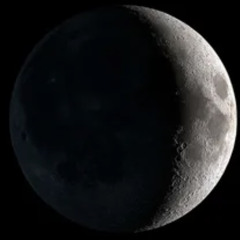 #4 / LUA