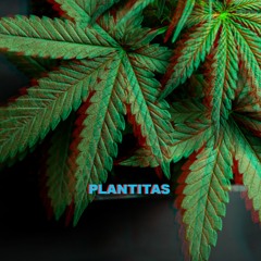 Plantitas