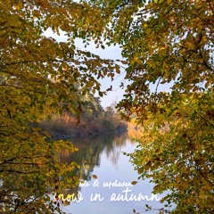 solr - sleep well, angel (Acey)