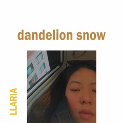 Dandelion Snow