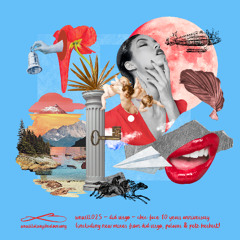 PREMIERE: Did Virgo - Chic Face (Palavas Remix) [wewillalwaysbealovesong]