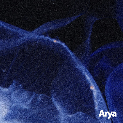 [PREMIERE] | Adrian Skiba - Shade 02  [ARYA004D]