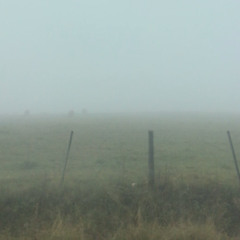 Wolkenwiese