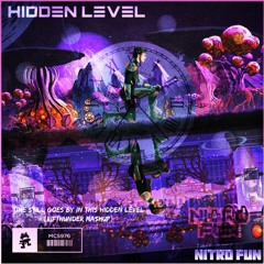 Time Still Goes By In This Hidden Level (RifThunder Mashup)