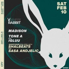 White Rabbit Headline - MADISON Live Set - Feb 2024