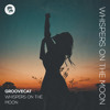 DPR PREMIERE: Groovecat - Whispers on the Moon [Déepalma Ibiza 2026]