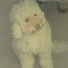 Январский дисторшн первого числа