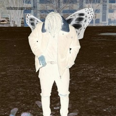 Nebula  (prod AvionicsChad)