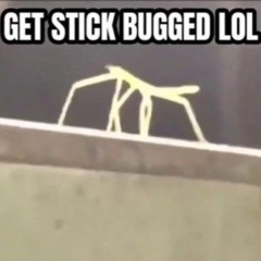 GET STICKED BUG LOL (BSS) (may hear stick bug sound effects)