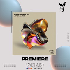 PREMIERE: Santiago Luna & YU-1 - Choose To Shine (Atóm Remix) [deep dip]