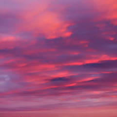 all they want w on1y